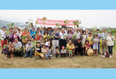 中鋼集團員工體驗白玉蘿蔔收成樂(圖)