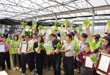 農業首都成果現有機蔬菜供新北(圖)