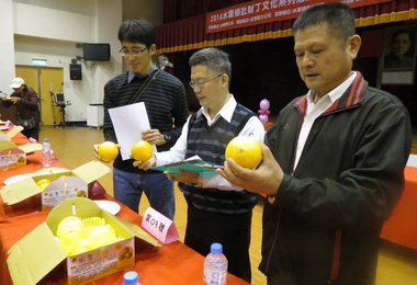 水里優質臍橙評鑑優勝出爐(圖)