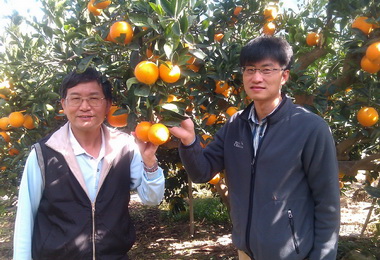 水里公所辦肚財丁活動發表會(圖)