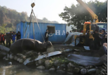 阿河猝死將查明死因並追究業者責任(圖)