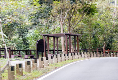 霧峰青桐林生態產業園區正夯(圖)