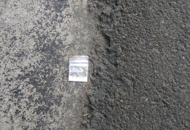 海龍變毒蟲見警逃逸仍遭法辦(圖)