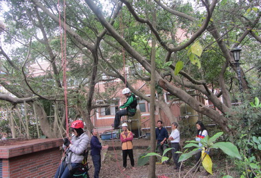 集集辦愛護樹木活動(圖)