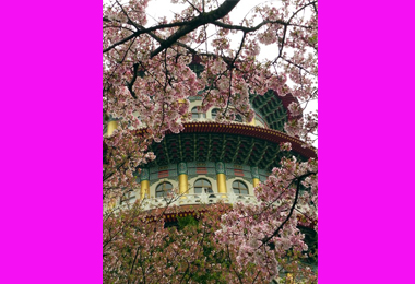 228走春賞景出遊住宿福容好幸福(圖)