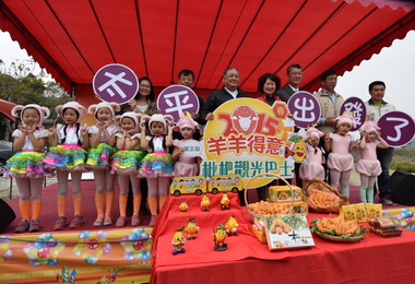 太平枇杷嘉年華活動正式開跑(圖)
