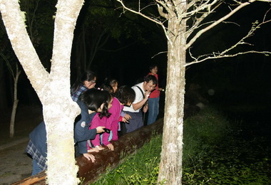 瑪寶小旅行進入原鄉琴櫻(圖)