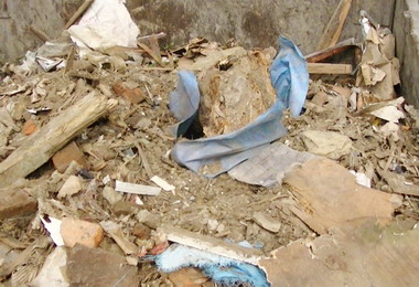 廢棄物暗藏檜木山老鼠就逮(圖)