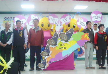 紫蝶崢艷林內正美麗(圖)