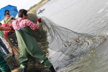 永安產地餐桌續集 一日漁夫新玩法(圖)