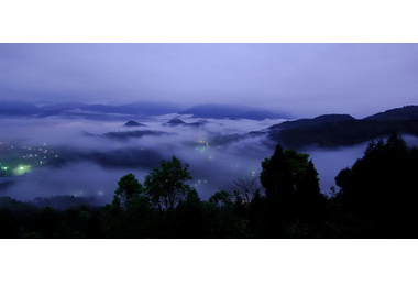 陳錦倫將規劃薰衣草森林王國(圖)