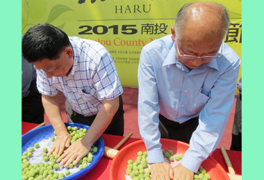 梅子節信義鄉梅子夢工廠登場(圖)