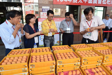 太平枇杷評鑑出爐 柯聰明拔得頭籌(圖)
