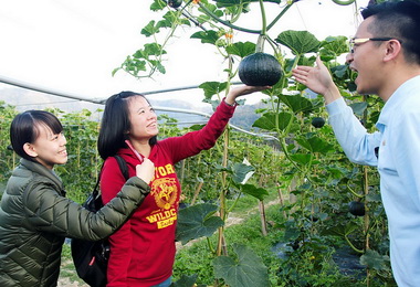 日月潭開辦賞螢飯店也提供秘境(圖)