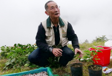 南投林管處進行牛樟苗木觀摩培育(圖)