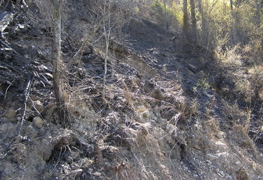 清明掃墓祭祖林管處：嚴防火警發生(圖)