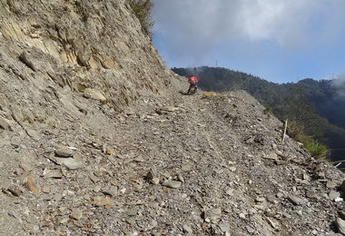 信義丹大珍貴森林資源嚴密保護中(圖)