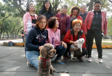 森林公園野狗咬人民代：捕捉野狗(圖)