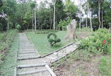 社區綠美化計畫申請至五月底止(圖)