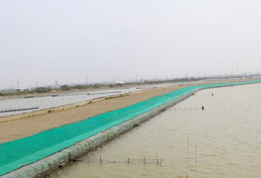 賴清德視察頭港排水護岸填土工程(圖)