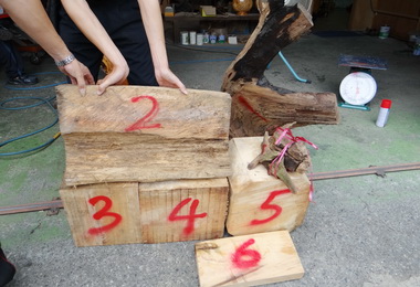 斗南分局越區破獲扁柏竊盜案(圖)