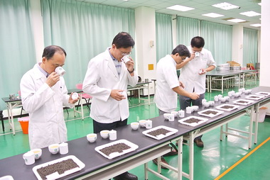 全國最大場鹿谷凍頂茶賽 正式展開(圖)