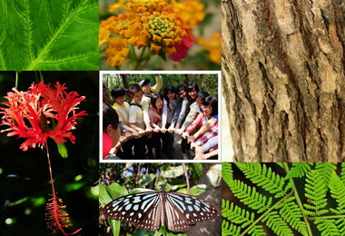 壽山自然美學體驗營開放報名(圖)