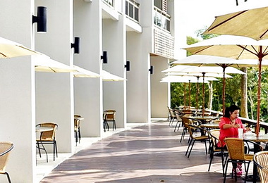 日月潭竹石園愛琴來找茶登場(圖)