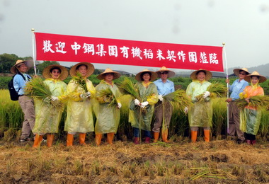 中鋼善盡社會責任員工體驗稻米收割樂(圖)