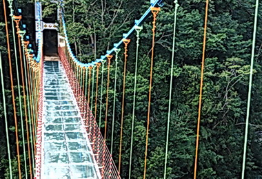 遊琉璃光之橋信義準備好了(圖)