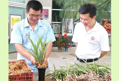 魚池公所推出在地休閒農業旅遊(圖)