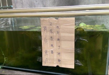 慣竊遇到雞婆警難逃(圖)