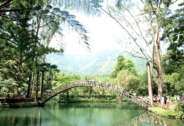 遊台灣好行溪頭線套票天天抽(圖)