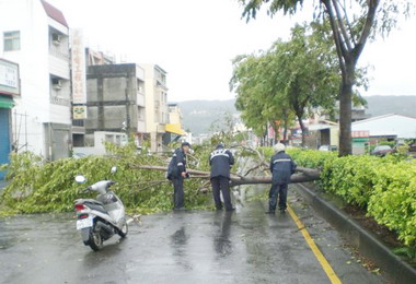 颱風橫掃路樹斷員警冒雨清除(圖)