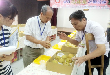 中市優質高接梨評鑑出爐(圖)