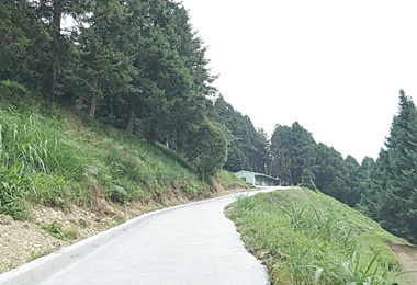 整修人倫林道營造自然生態(圖)