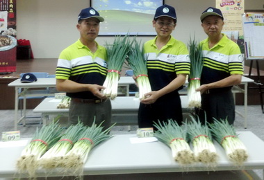 農業局輔導大安蔥獲產地標章認證(圖)