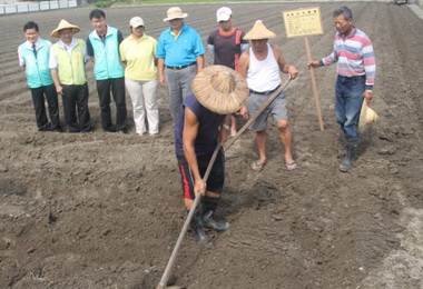 市府推動海線二期契作非基改大豆計畫(圖)