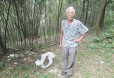 盜竹筍當古例 警方逮捕法辦(圖)