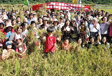 南安部落收穫祭即日起受理報名(圖)