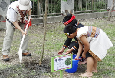 林管處邀族人回羅娜部落種回傳統植物(圖)