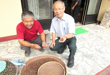 林政則讚茶農重視茶葉安全(圖)