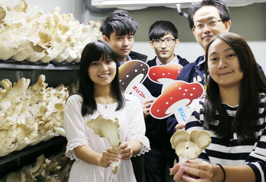 勤益科大研發平地也能種菇(圖)