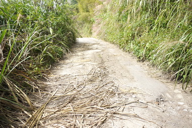 集集大山環境維護相當困頓(圖)