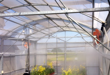 低溫微霧降溫紓解夏季溫室高溫問題(圖)