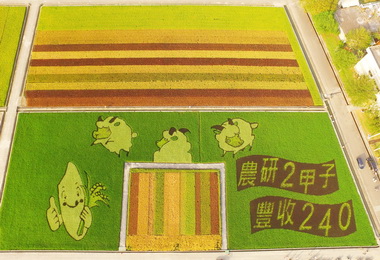 農試所辦成果展示歡慶走過二甲子(圖)