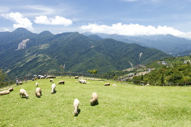 縣府將設置清境高架步道(圖)