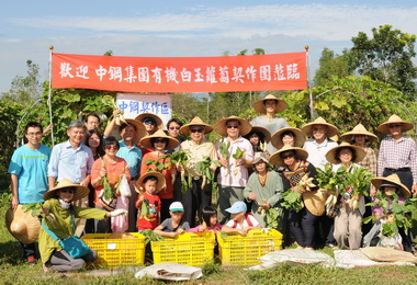 中鋼善盡社會責任員工體驗白玉蘿蔔收成樂(圖)