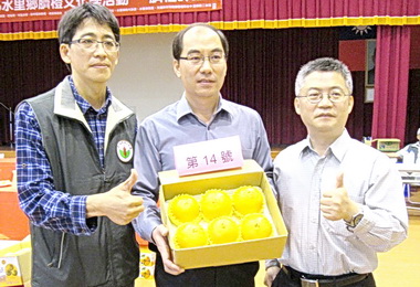 水里臍橙評選 廖超堅獲特等獎(圖)