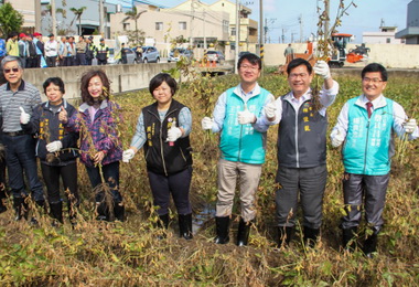 林佳龍採收契作非基改大豆(圖)